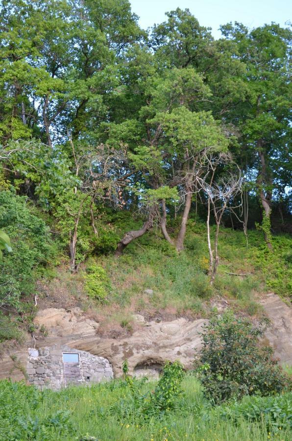 Casa Sorgente Apartment Montefiascone Ngoại thất bức ảnh
