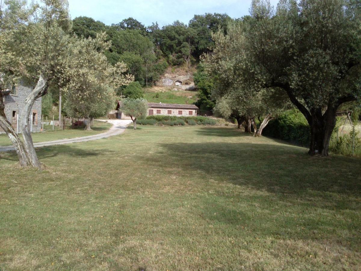 Casa Sorgente Apartment Montefiascone Ngoại thất bức ảnh